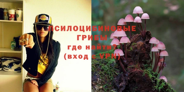 прущая мука Алексин